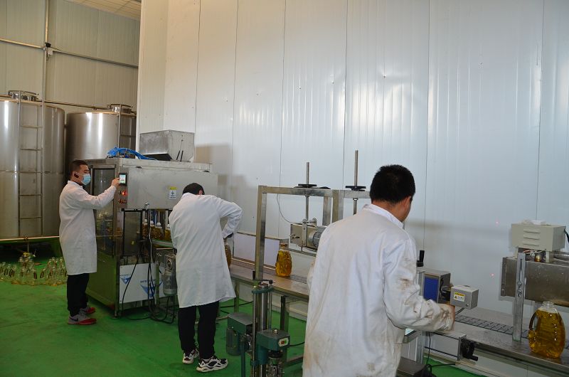product-800-530 product-800-530